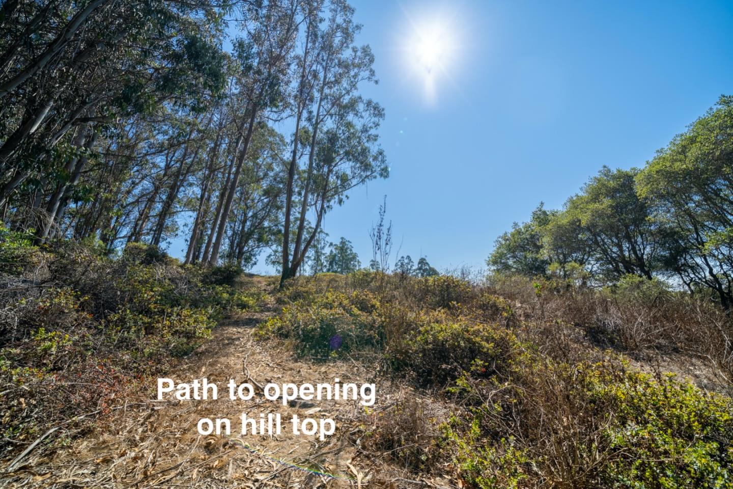 148 Echo Valley Road Prunedale, CA 93907 - Photo 42 of 45 Gallery Image 42