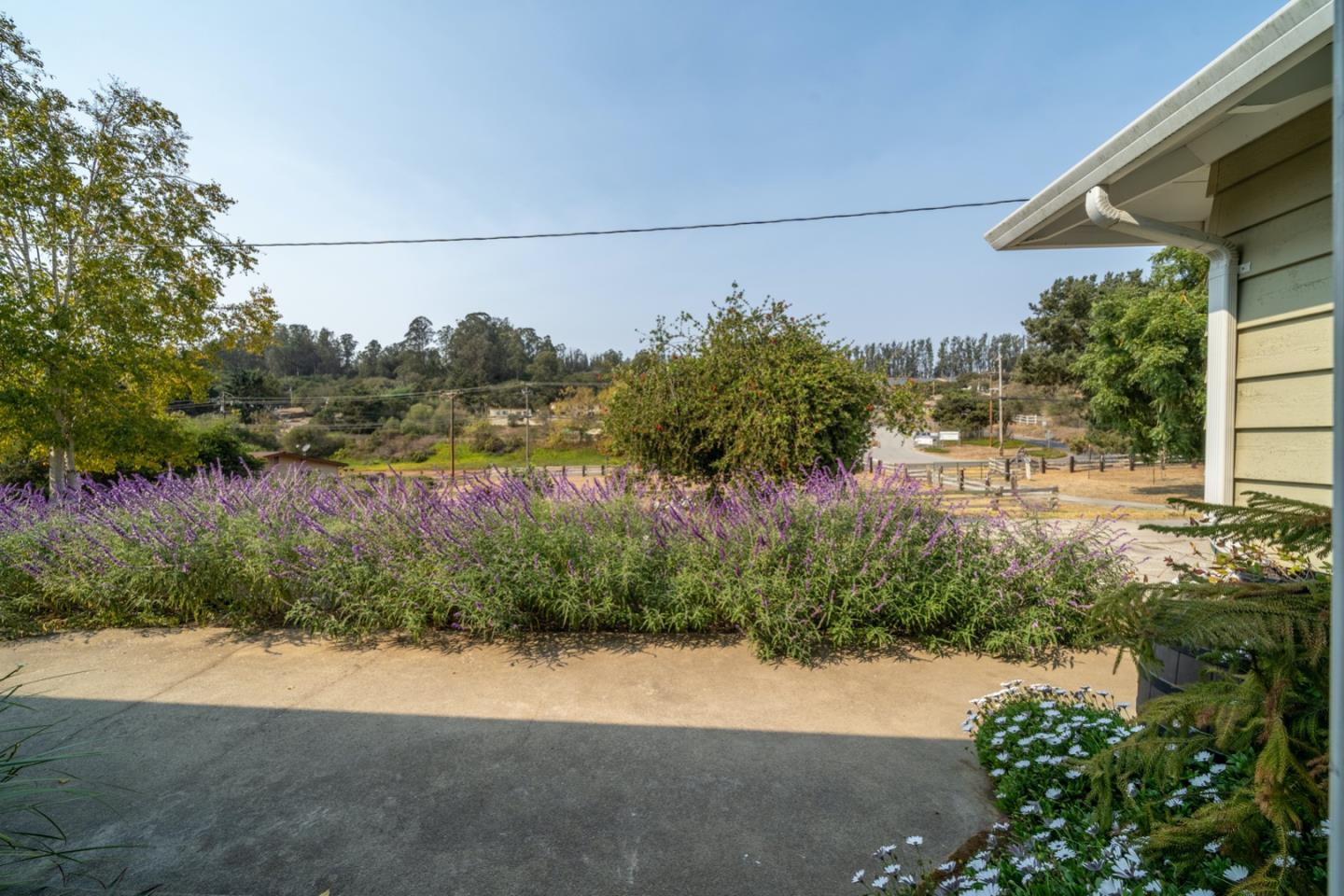 148 Echo Valley Road Prunedale, CA 93907 - Photo 8 of 45 Gallery Image 8