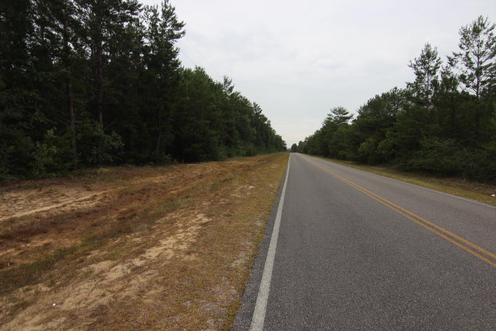 Xxx Williams Road DeFuniak Springs, FL 32433 - Photo 3 of 5 a view of a yard with a tree