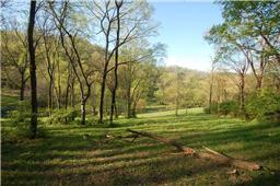 2277 North Berrys Chapel Road Franklin, TN 37069 - Photo 4 of 7 Gallery Image 4