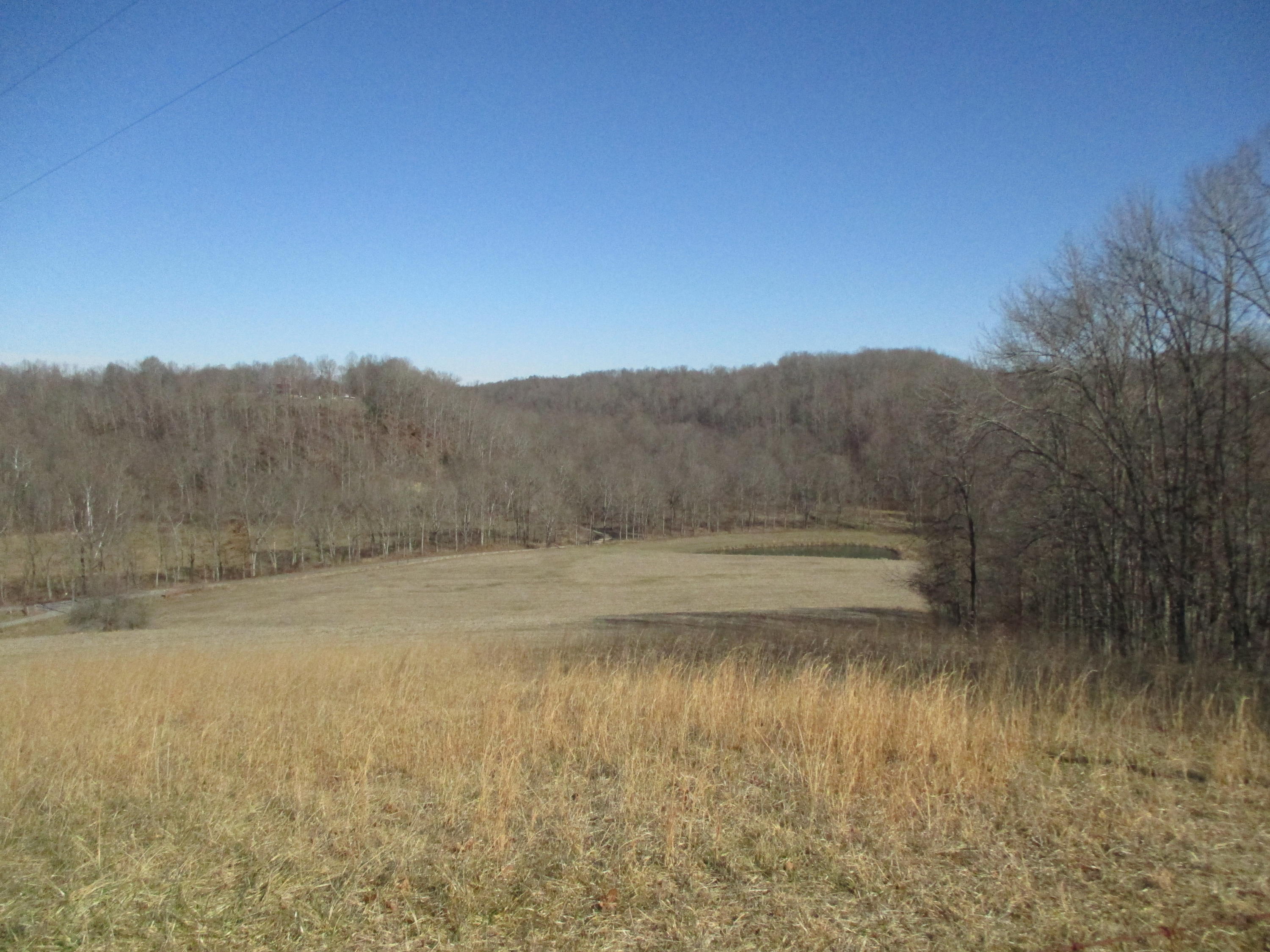528 Johnny Carpenter Road Waynesburg, KY 40489 - Photo 17 of 27 IMG_3131