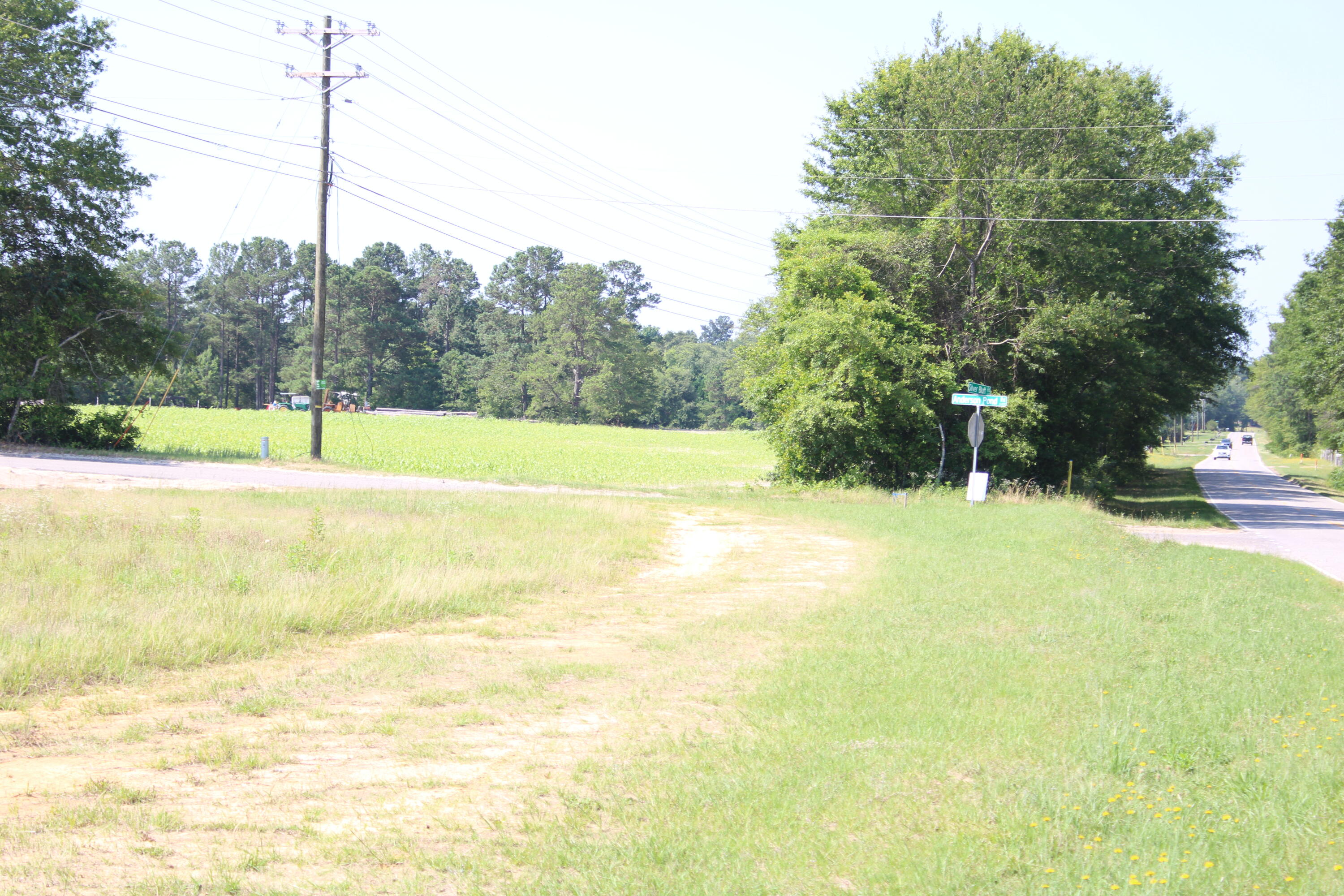 1331 Silver Bluff Road Aiken, SC 29803 - Photo 3 of 6