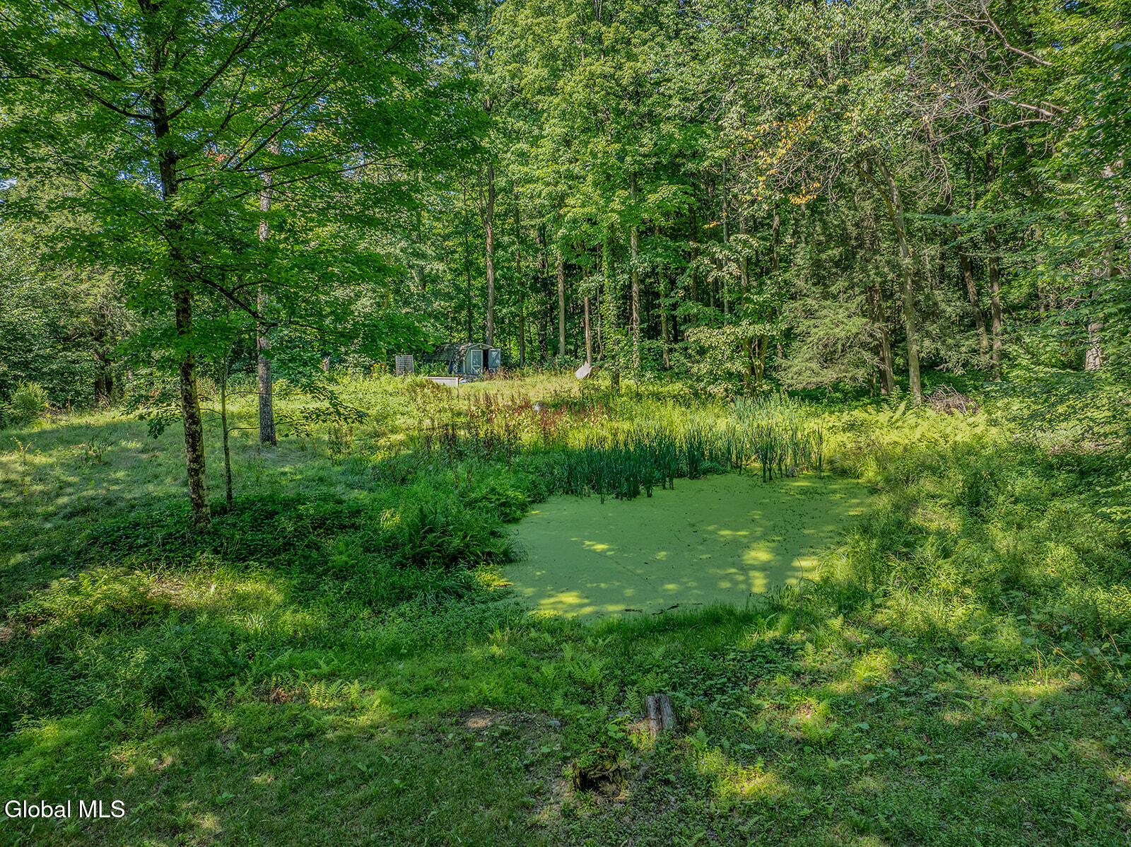 1140 Vly Summit Road Cambridge, NY 12816 - Photo 46 of 47 Pond