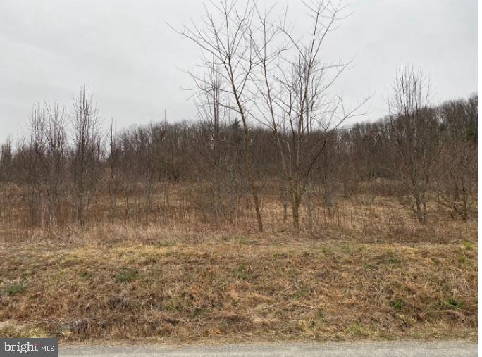 Fox Hollow Road Shermans Dale, PA 17090 - Photo 3 of 3 Gallery Image 3