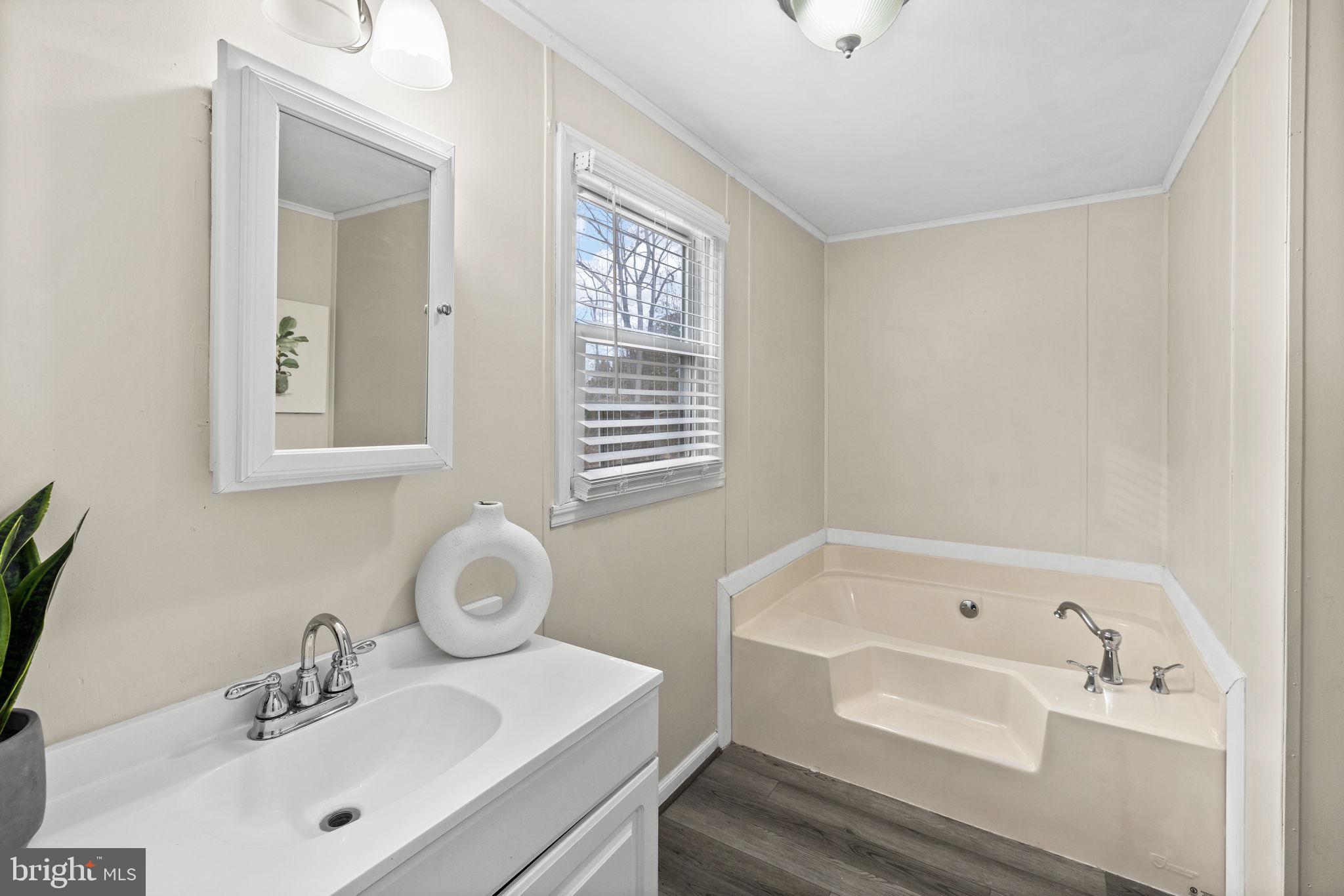 9523 Brock Road Spotsylvania, VA 22553 - Photo 28 of 44 a bathroom with a sink and a bathtub