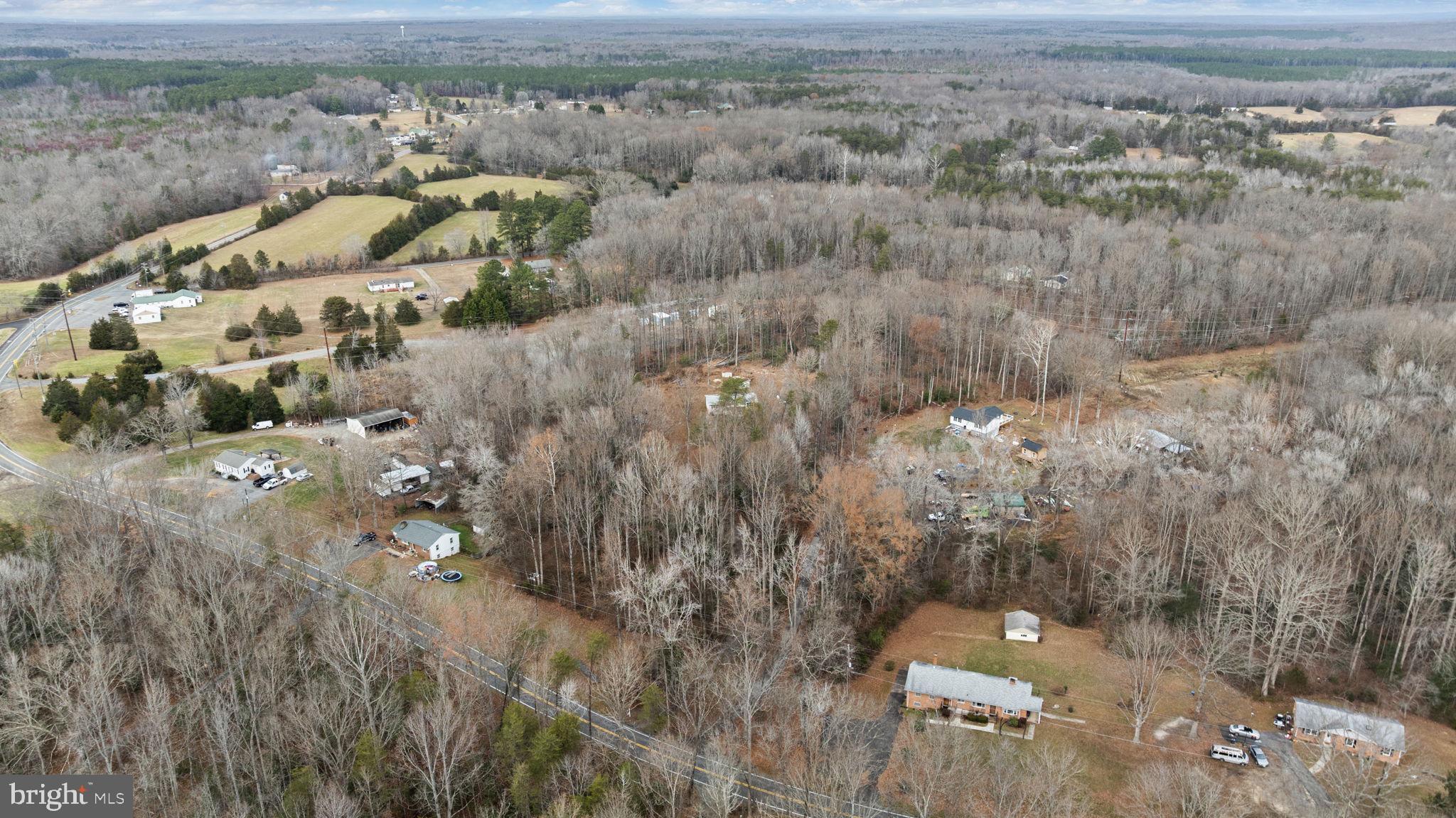 9523 Brock Road Spotsylvania, VA 22553 - Photo 43 of 44 a view of a forest with a yard
