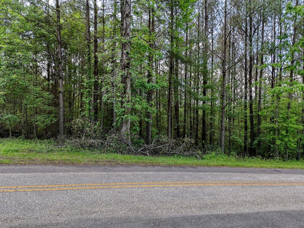Lot B Hilltop Road Murphy, NC 28906 - Photo 34 of 43 Gallery Image 34