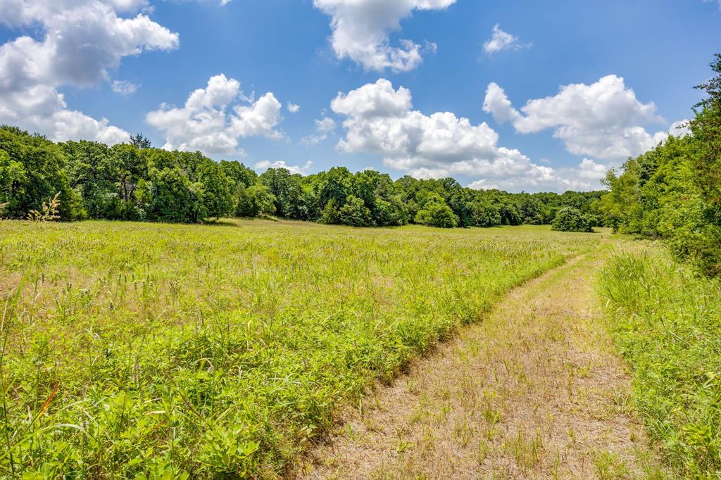 10287 Fm 1749 Sunset, TX 76270 - Photo 31 of 40