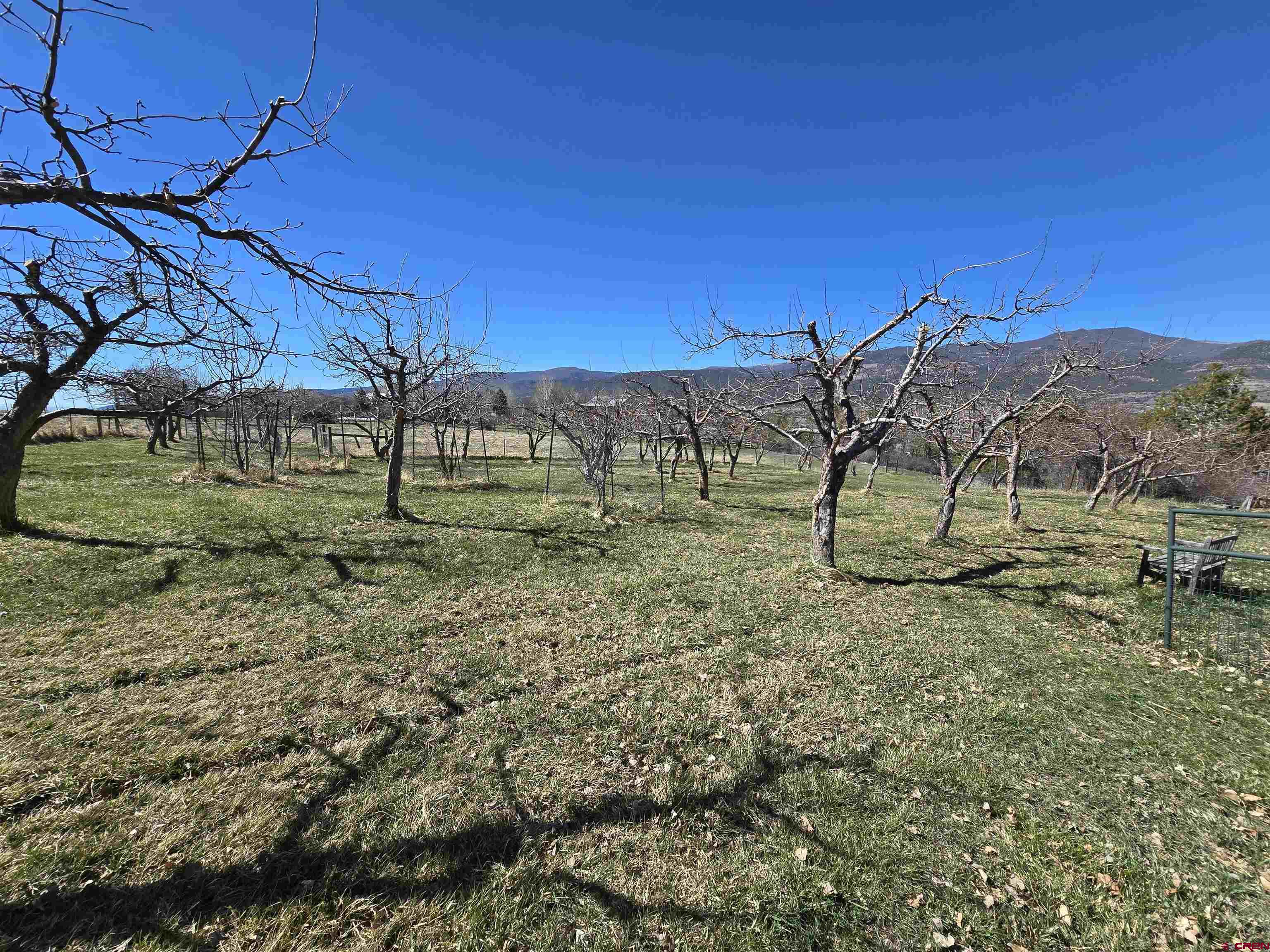 41845 O Road Paonia, CO 81428 - Photo 35 of 42