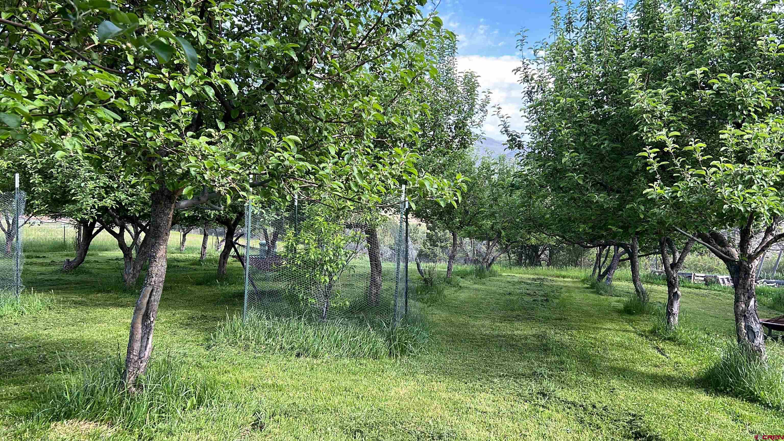 41845 O Road Paonia, CO 81428 - Photo 40 of 42