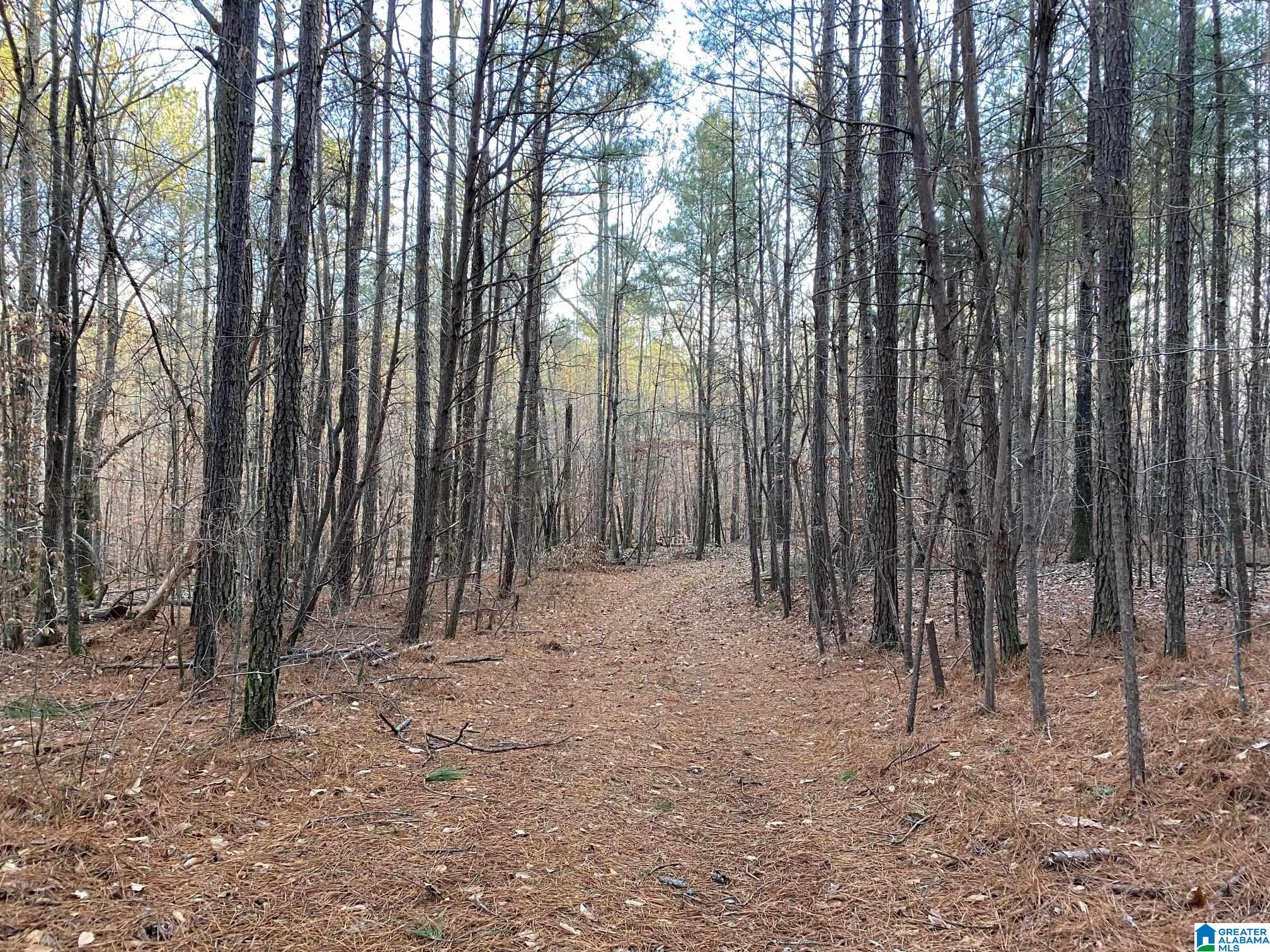 7550 Deer Haven Road, Unit 578 / AC Springville, AL 35146 - Photo 35 of 45 Gallery Image 35