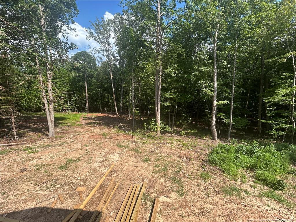 4529 Buckhorn Road Moncure, NC 27559 - Photo 24 of 26 Photo 24