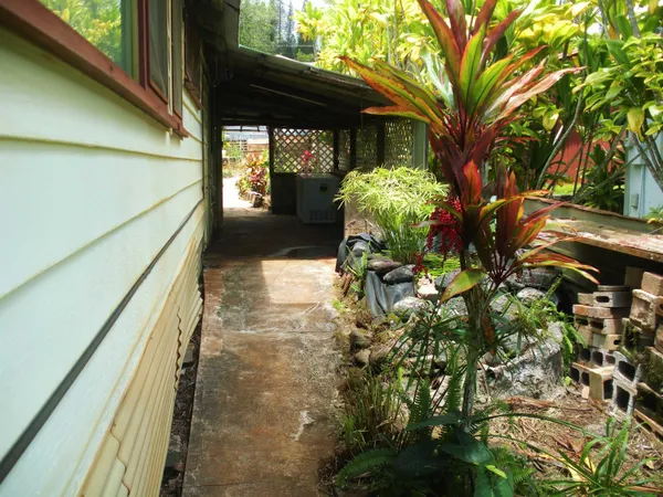 a view of a yard with a tree