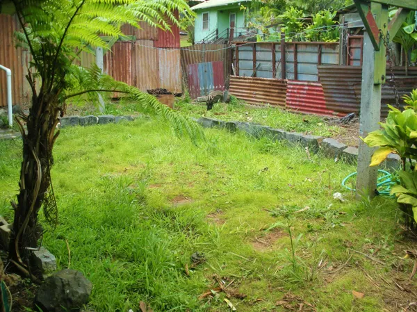 a view of a backyard with large trees and wooden fence