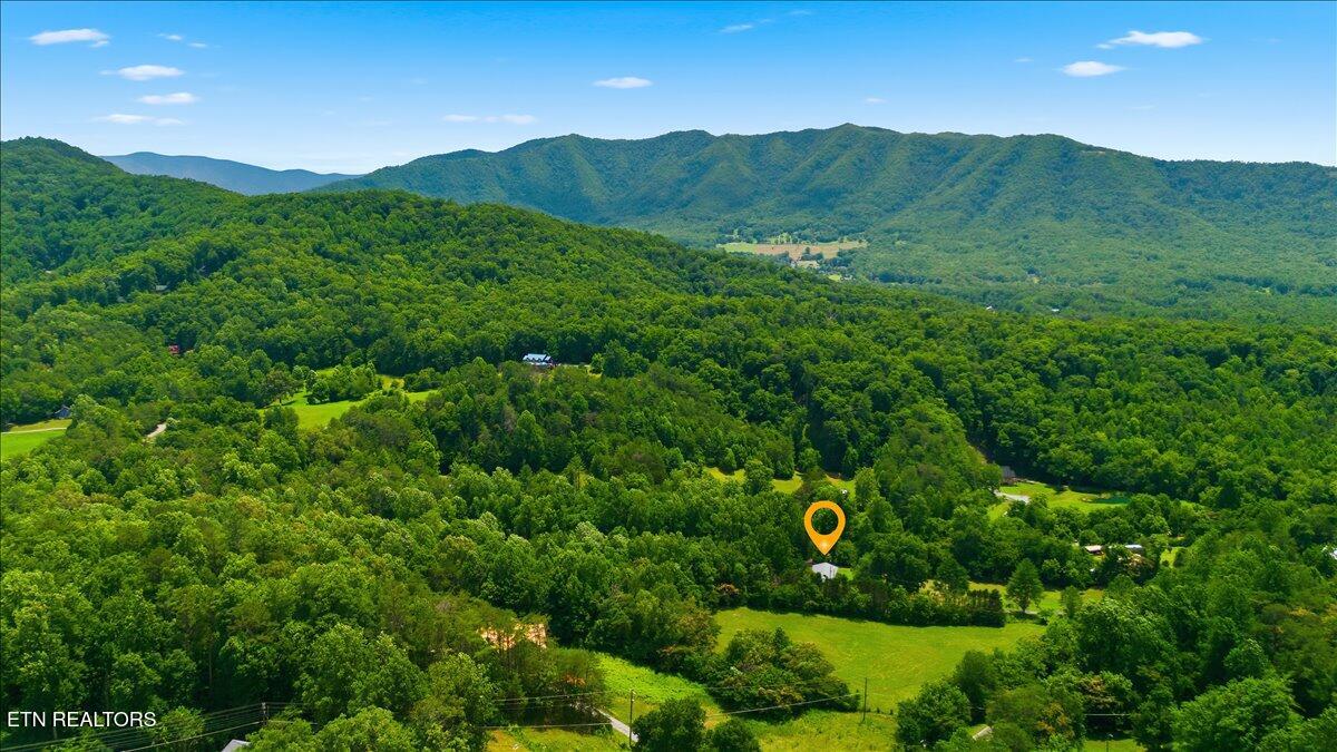 249 Old Cades Cove Road Townsend, TN 37882 - Photo 27 of 30 Aerial