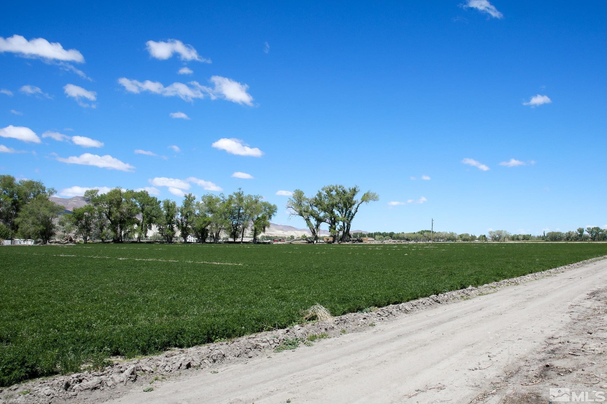 39 Baker Lane Yerington, NV 89447 - Photo 27 of 29 Photo 27