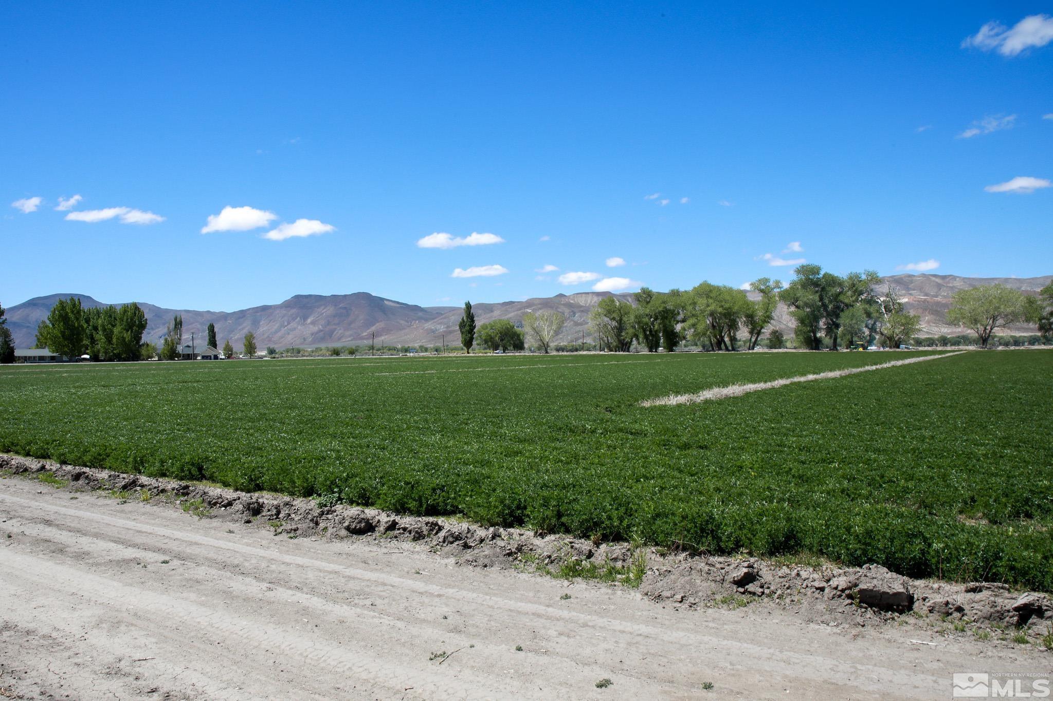 39 Baker Lane Yerington, NV 89447 - Photo 28 of 29 Photo 28
