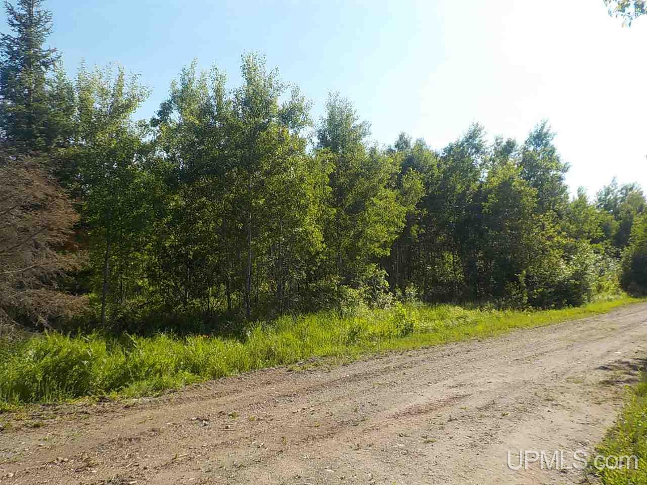 37.25-ac Mihalisko Road Amasa, MI 49920 - Photo 5 of 8