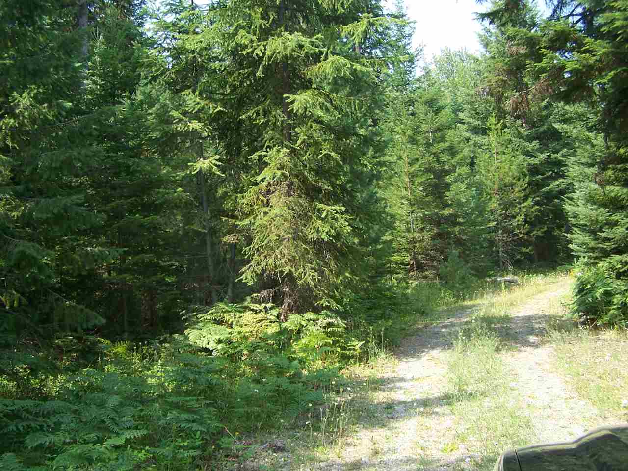 351 Vogel Road Cusick, WA 99119 - Photo 3 of 13