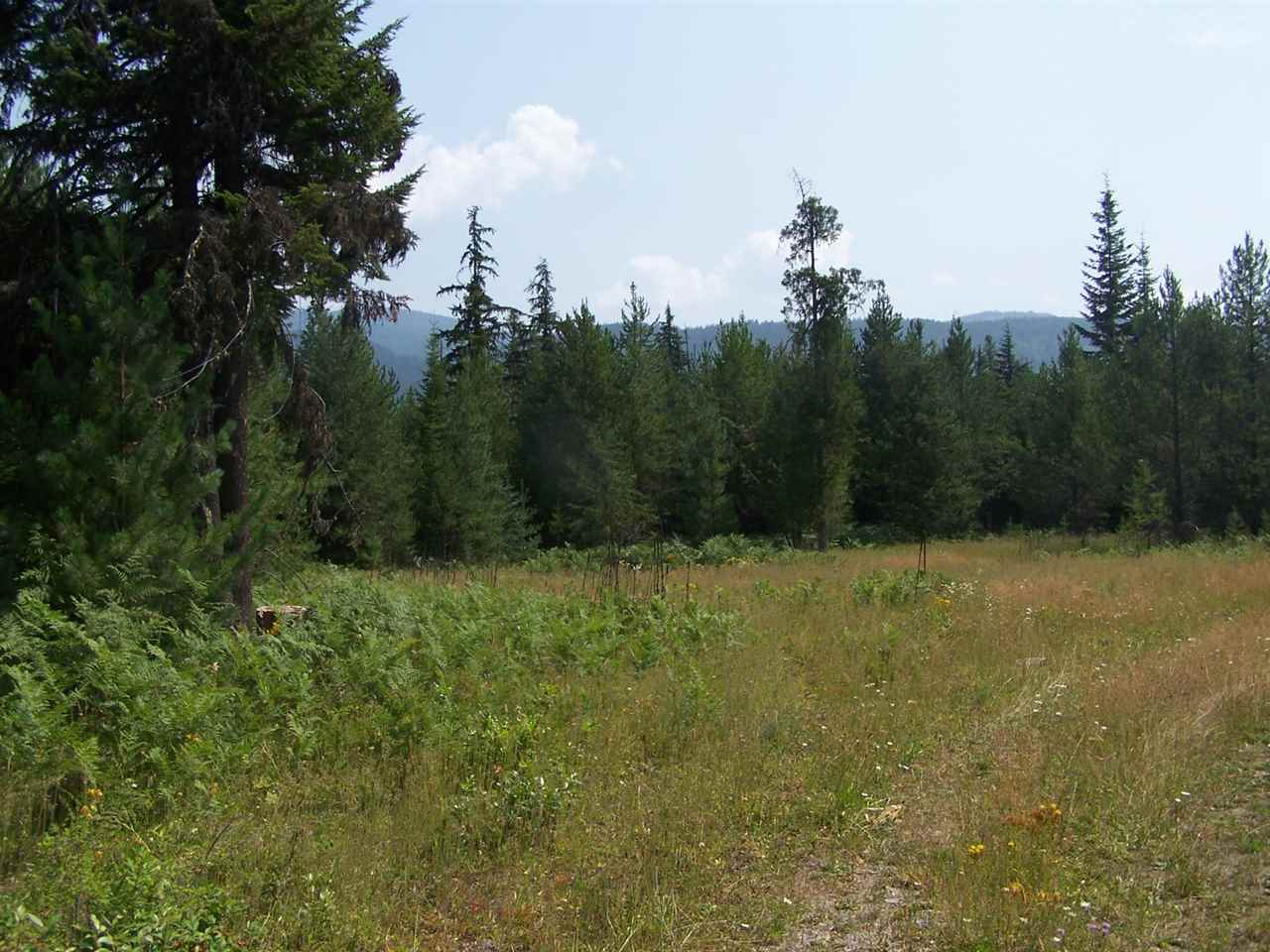 351 Vogel Road Cusick, WA 99119 - Photo 8 of 13