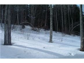 832 Cass Mill Road Alexandria, NH 03222 - Photo 3 of 5
