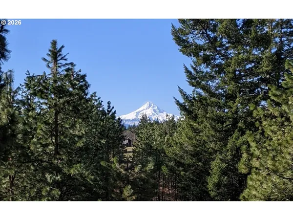 a view of a bunch of trees and bushes