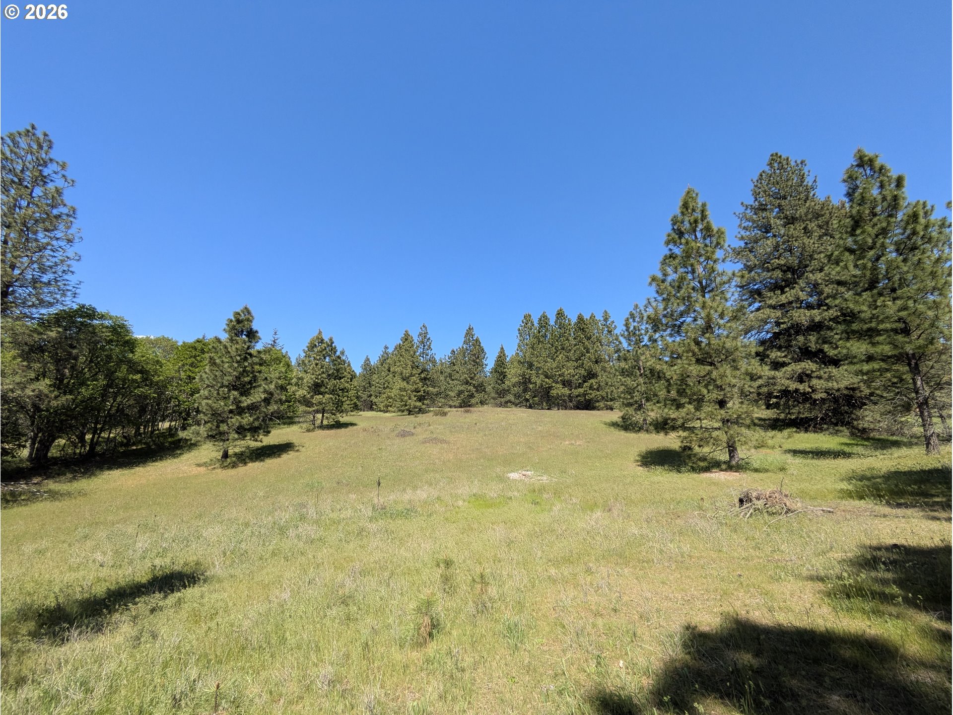 41 Mountain View Road Lyle, WA 98635 - Photo 11 of 31