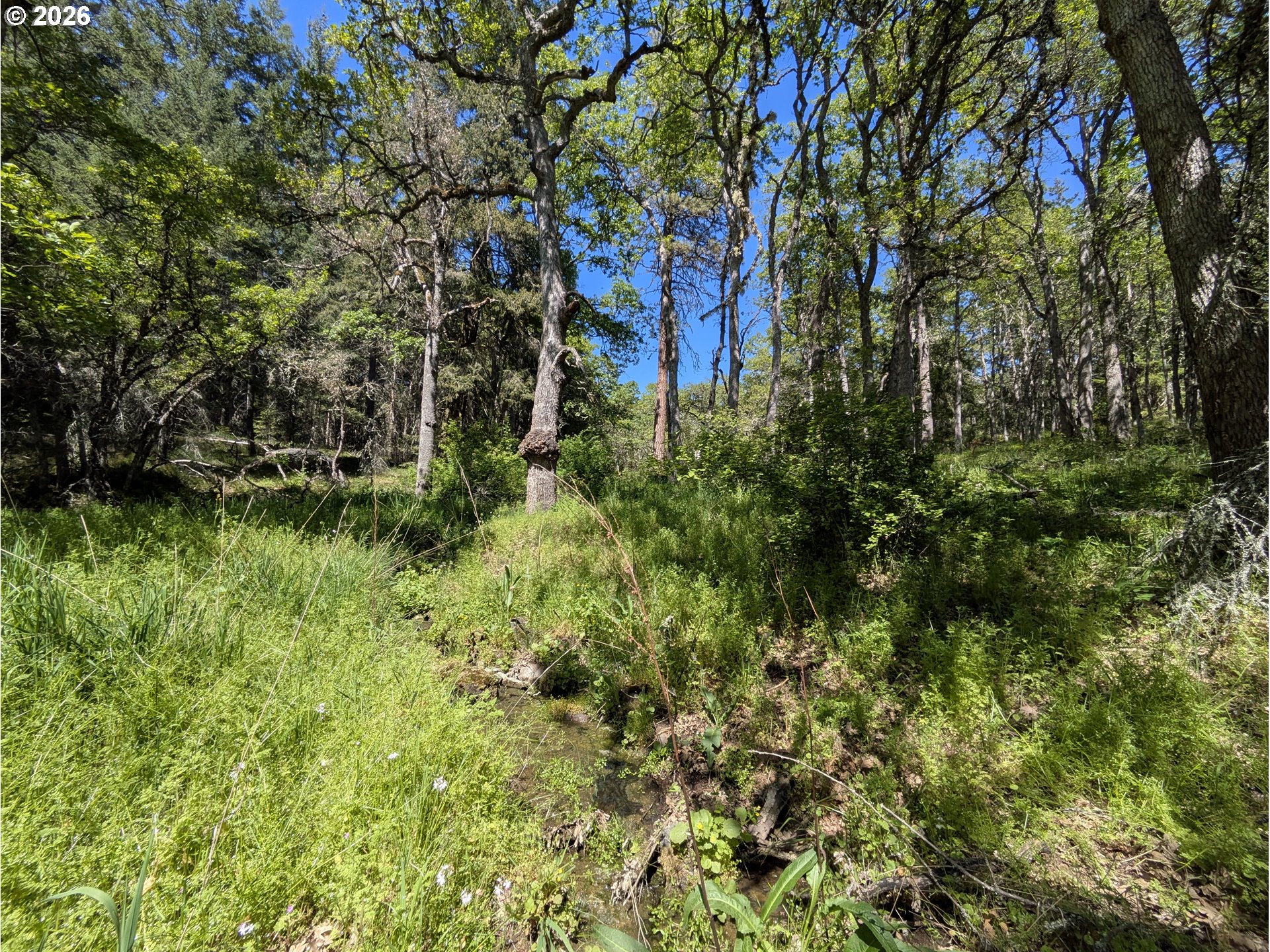 41 Mountain View Road Lyle, WA 98635 - Photo 15 of 31