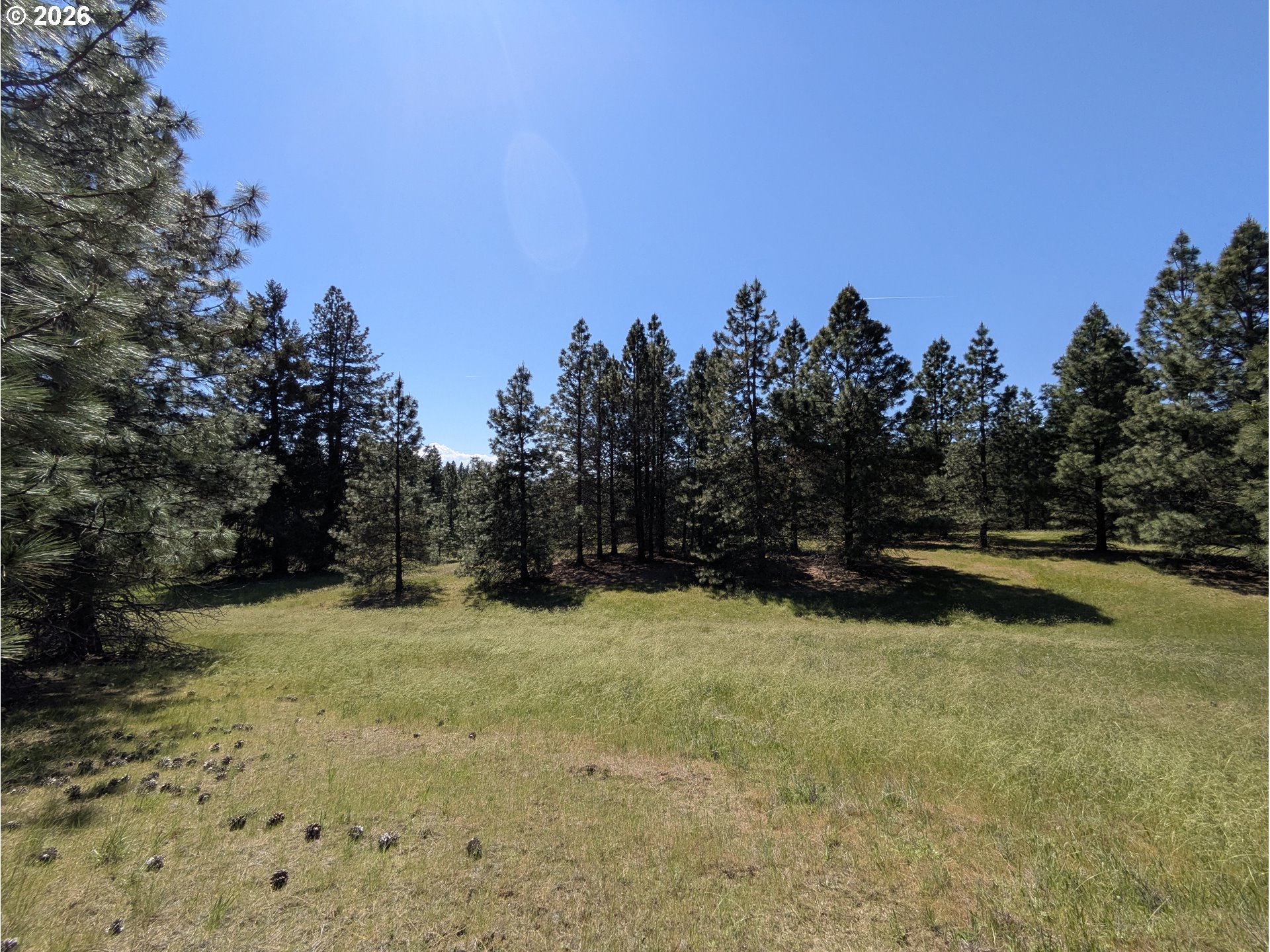 41 Mountain View Road Lyle, WA 98635 - Photo 26 of 31