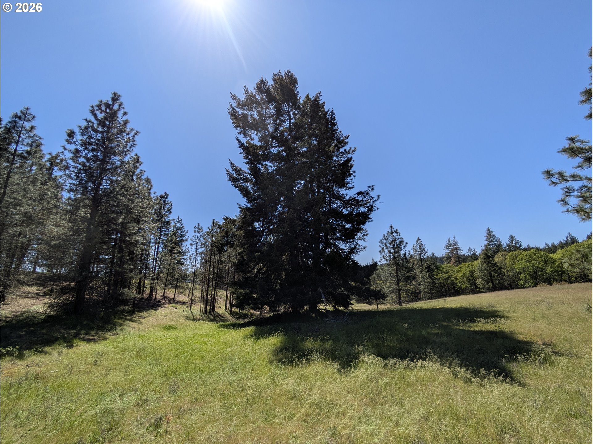 41 Mountain View Road Lyle, WA 98635 - Photo 10 of 31