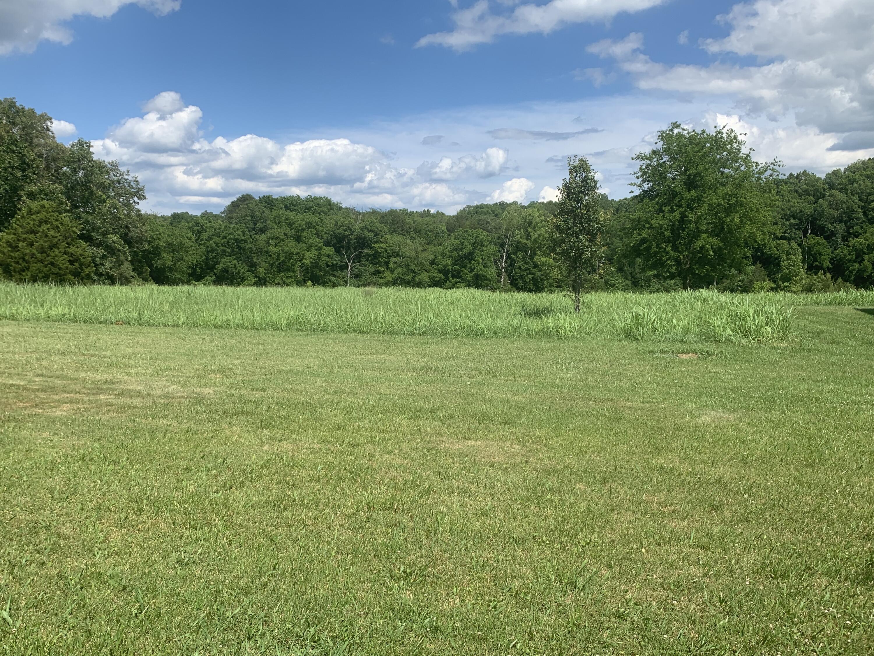 1316 Smith School Road Kodak, TN 37764 - Photo 14 of 40 205301CC-3FB2-4824-B1A8-4597A899FE3B