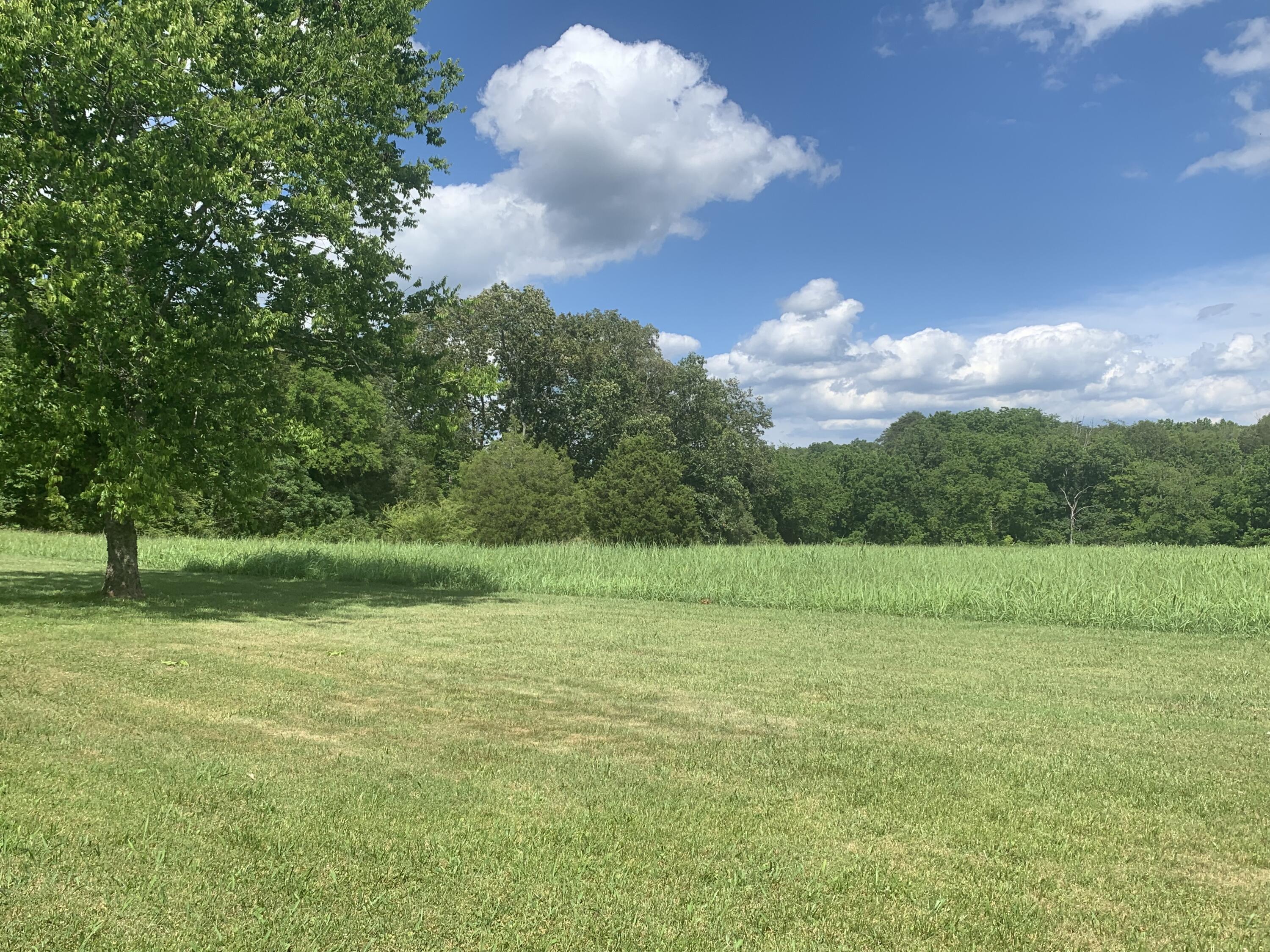 1316 Smith School Road Kodak, TN 37764 - Photo 18 of 40 4CDA436A-5F6B-4738-867D-FE46D2269AE9