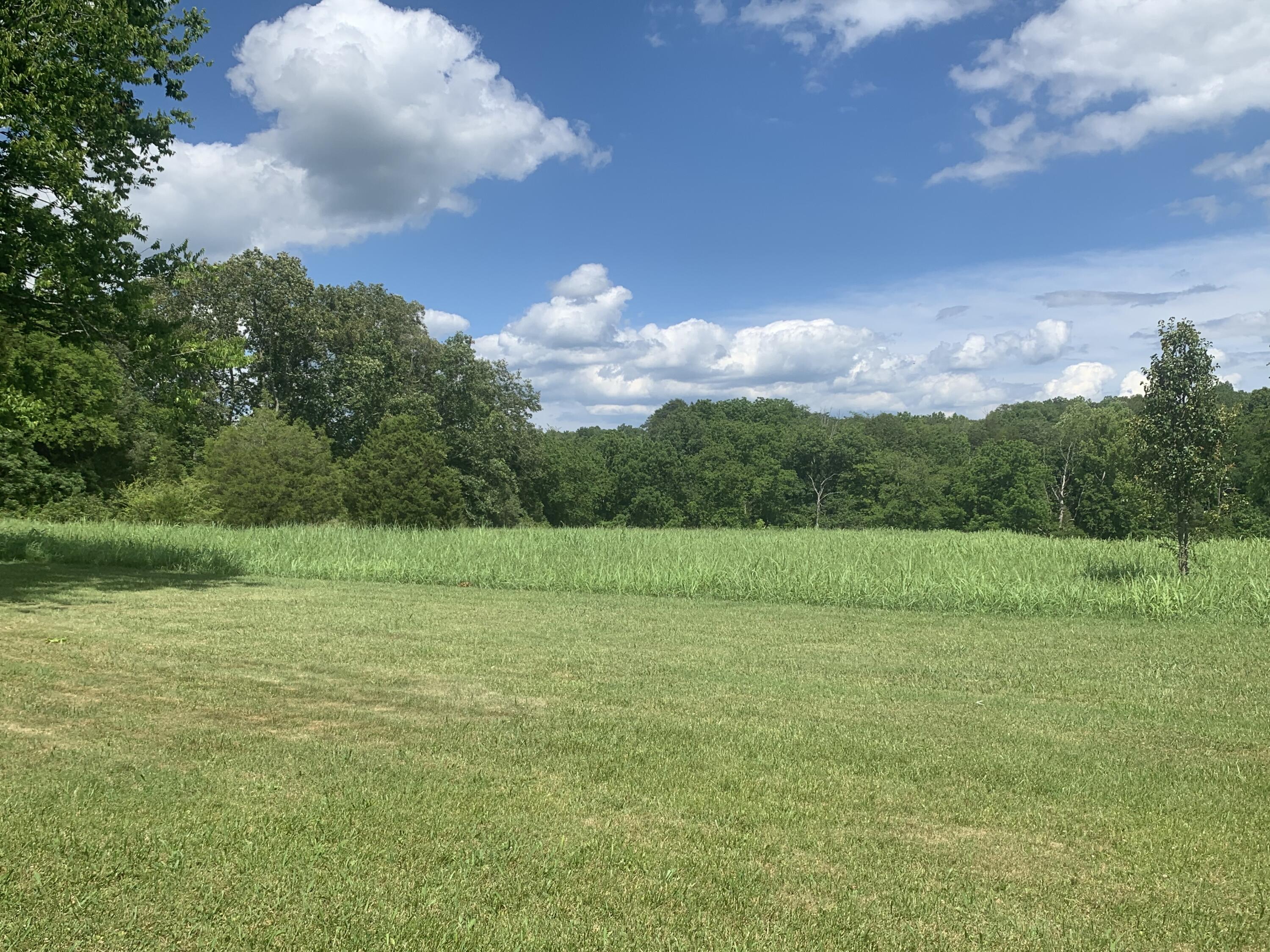 1316 Smith School Road Kodak, TN 37764 - Photo 19 of 40 BFA3E1E1-81E7-4E8C-A359-40379BA2EBF2