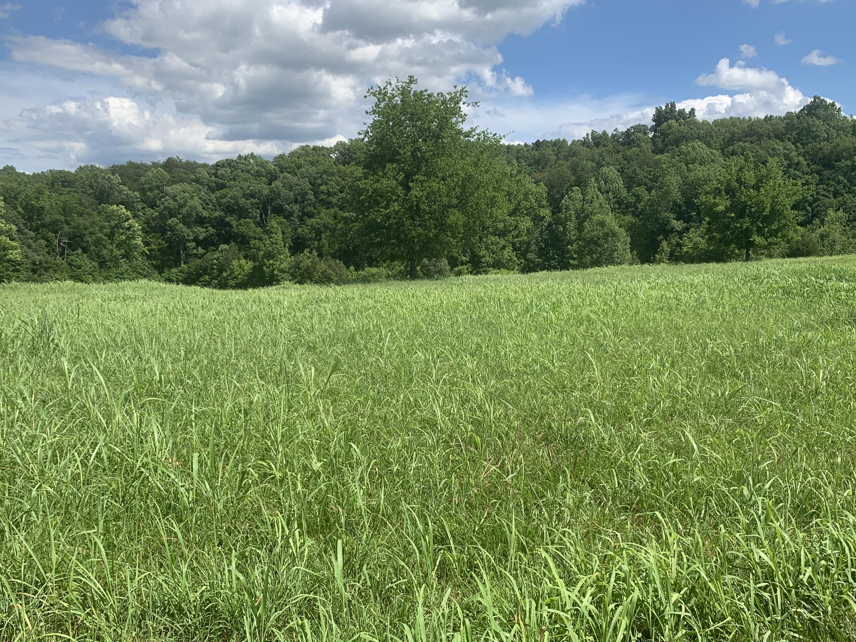 1316 Smith School Road Kodak, TN 37764 - Photo 22 of 40 FF115D69-D562-4EDA-A390-FA312C80F4D7
