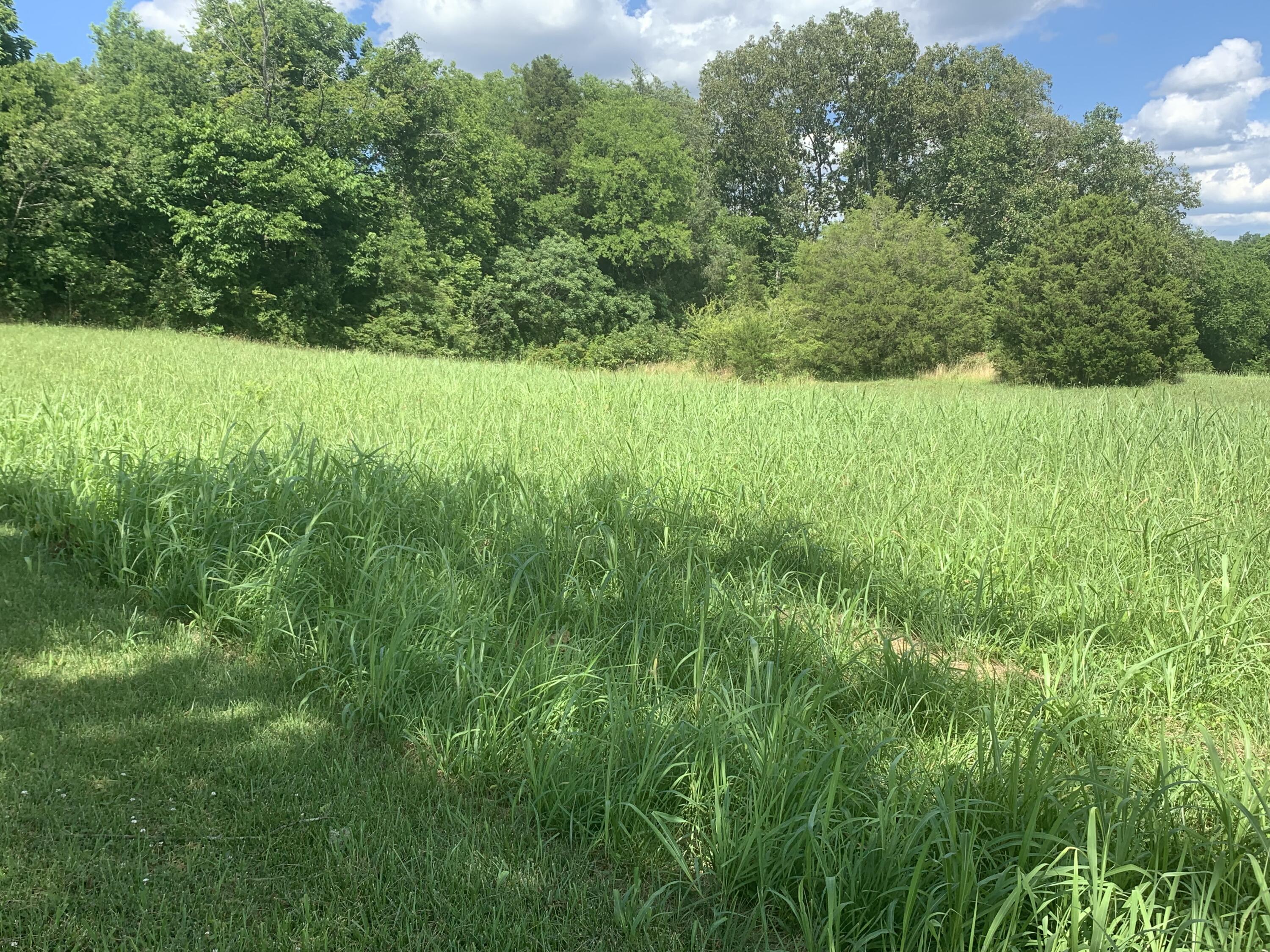 1316 Smith School Road Kodak, TN 37764 - Photo 25 of 40 2EA37059-699F-481F-9DBE-606B56999C99
