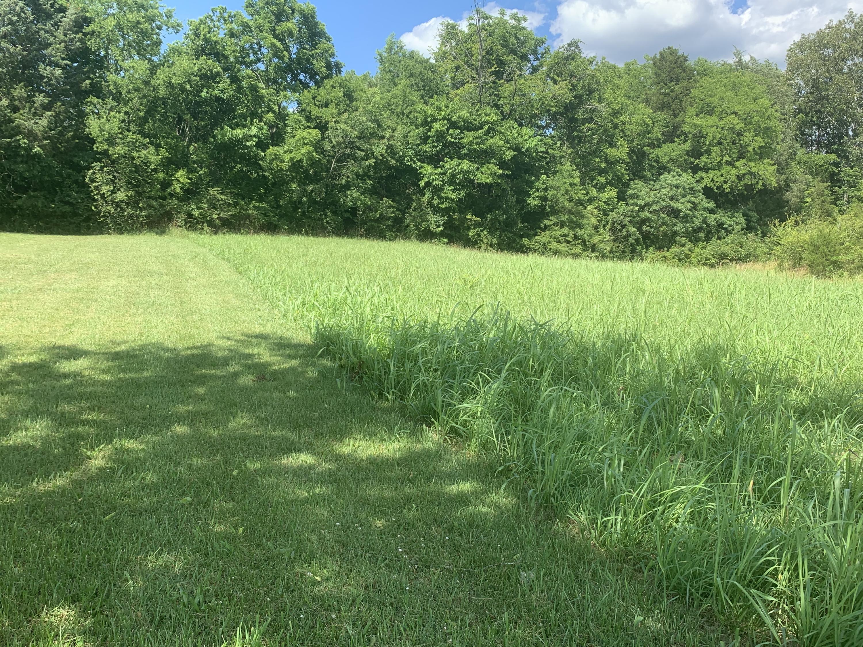 1316 Smith School Road Kodak, TN 37764 - Photo 26 of 40 7DED39EF-CAED-4E7F-B8CA-12D6A5FD3027