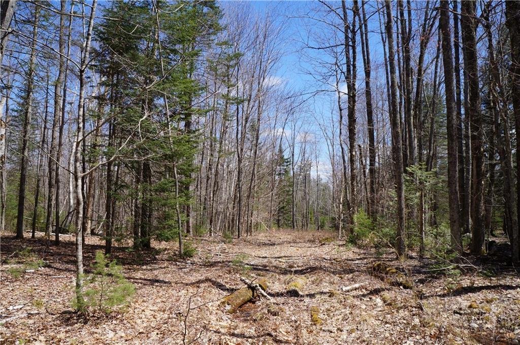 Lot 0 Ridge Road Bowdoinham, ME 04008 - Photo 2 of 5 Photo