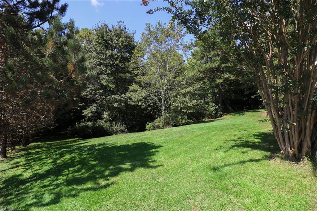 1736 Curraghmore Road Clemmons, NC 27012 - Photo 29 of 30 Gallery Image 29