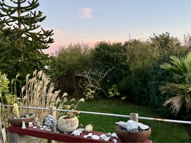 a view of a backyard