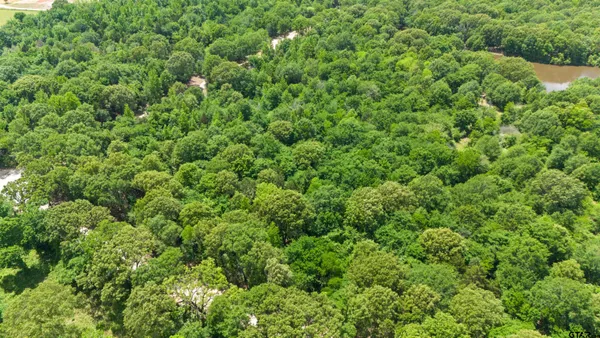 $250,000 | 437 Tbd/private Road, Van, TX 75790