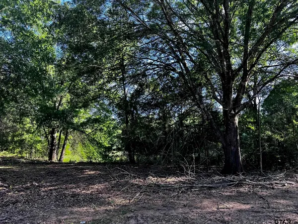 $250,000 | 437 Tbd/private Road, Van, TX 75790