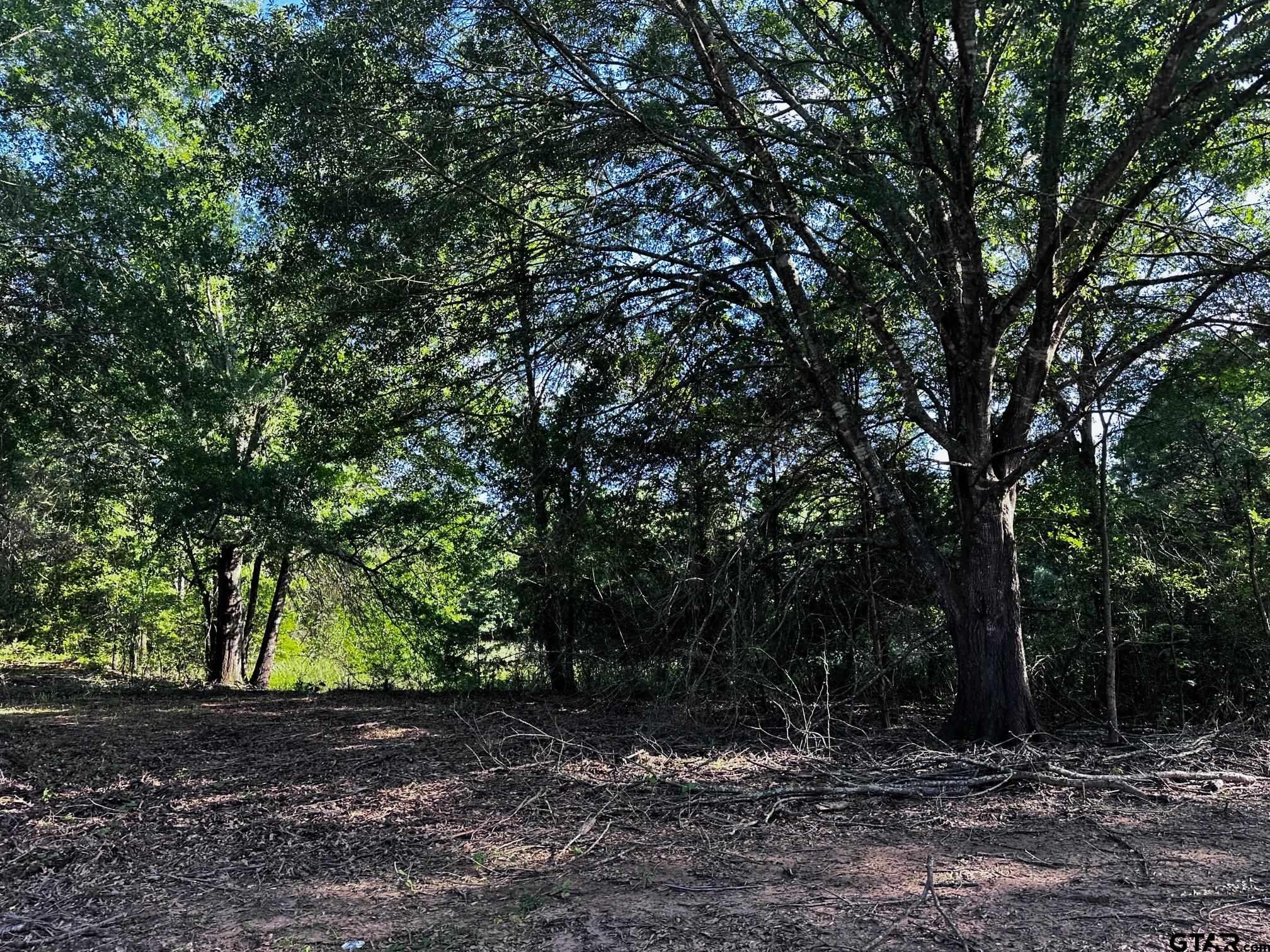 437 Tbd/private Road Van, TX 75790 - Photo 11 of 22