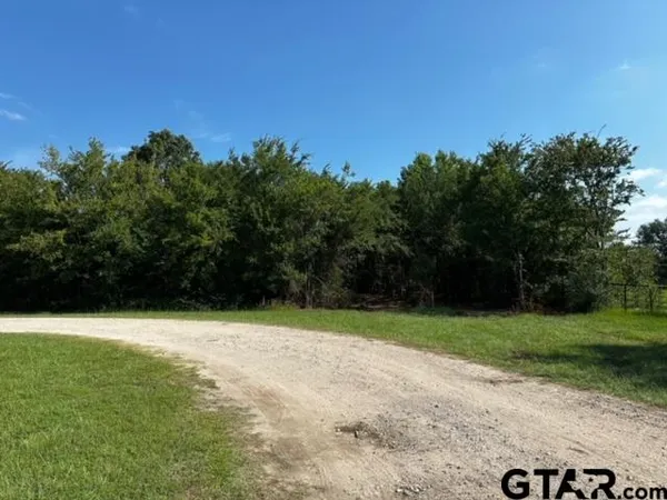 $250,000 | 437 Tbd/private Road, Van, TX 75790