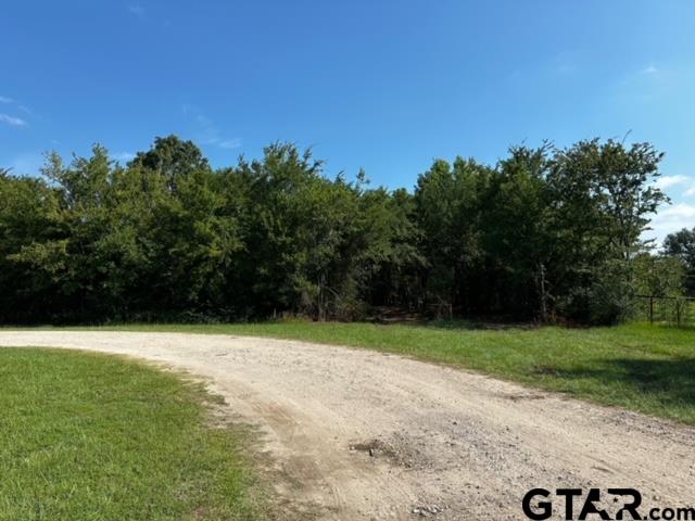 437 Tbd/private Road Van, TX 75790 - Photo 14 of 22