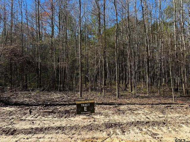 $250,000 | 437 Tbd/private Road, Van, TX 75790