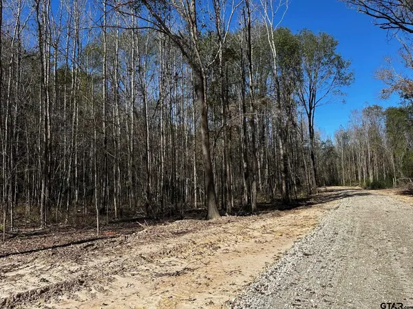 $250,000 | 437 Tbd/private Road, Van, TX 75790