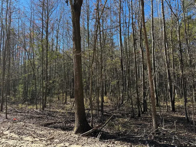 $250,000 | 437 Tbd/private Road, Van, TX 75790