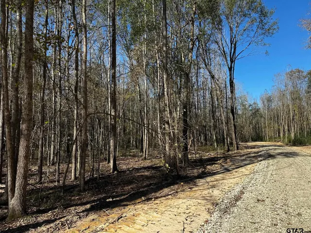 $250,000 | 437 Tbd/private Road, Van, TX 75790