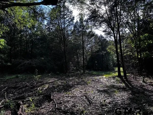 $250,000 | 437 Tbd/private Road, Van, TX 75790