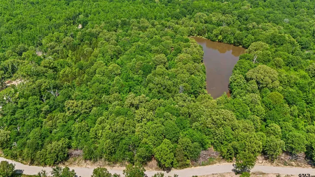 $250,000 | 437 Tbd/private Road, Van, TX 75790